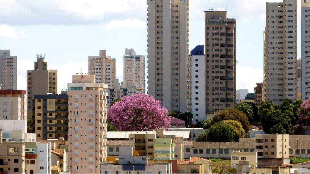 Contabilidade em Uberlândia - MG